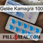 Gelée Kamagra 100 new15